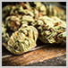 Cannabis Law