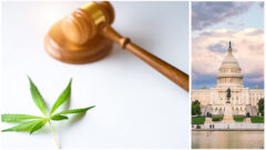 Washington-Cannabis-Law-Updates-2021_FedBar