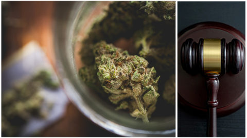 Marijuana and Synthetic Cannabinoids- High-lights of the science for attorneys_myLawCLE