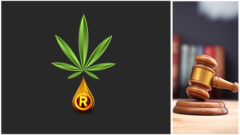 Navigating Potholes_ Trademark and intellectual property protection for the cannabis, hemp and CBD industry_FedBar