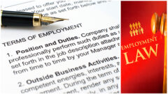 Employment Law Essentials_ Best practices on hiring, disciplining, and terminating employees_FedBar