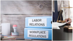Fundamentals of Federal Statutes Governing the Workplace_FedBar