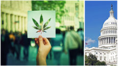 Washington State’s New Pre-Employment Drug Testing Law What employers need to know regarding off-duty marijuana use_FedBar