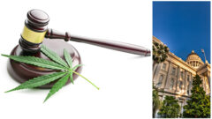California Cannabis Litigation_FedBar
