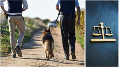 K9 Deployments During Traffic Stops What attorneys need to know_FedBar