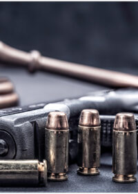 Navigating Florida's Firearm Laws_FedBar
