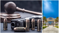 Navigating Florida's Firearm Laws_FedBar