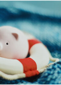 Offshore Asset Protection and Estate Planning_FedBar