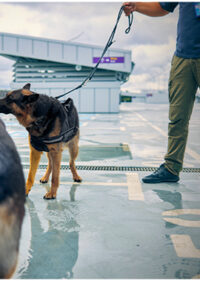 Evidence Seized with the Use of Canine Searches_FedBar