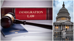 Immigration Law and Policy Under the Trump_FedBar