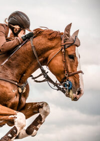 Product_img_Equestrian Sports Law_FedBar