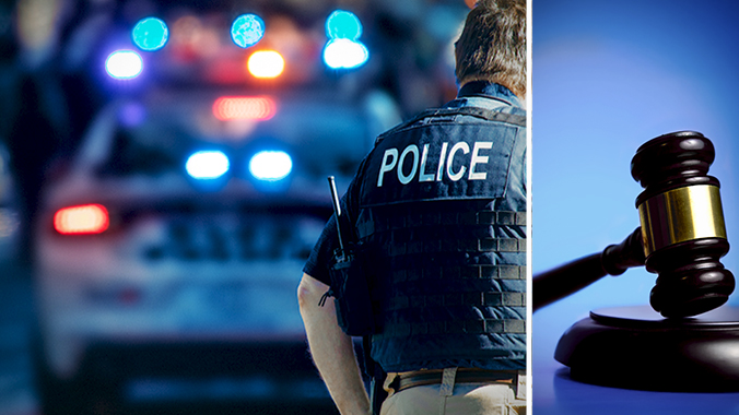 Police Misconduct and Civil Rights Basics: Spotting Cases and Protecting Client Rights