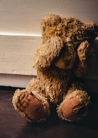 Investigating & Litigating Cases of Child Psychological Maltreatment - On-Demand Video