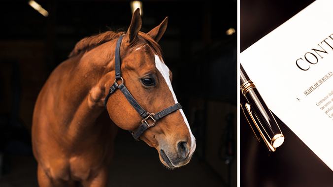 Equine Law Essentials: Liability, Business Protection, and Growth Strategies (2026 Edition)