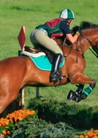 Equine Law Essentials: Liability, Business Protection, and Growth Strategies (2026 Edition) - On-Demand Video