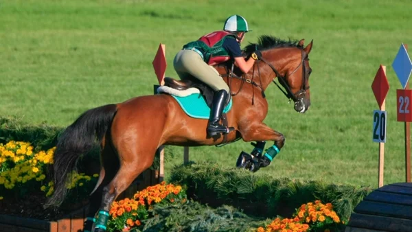 Equine Law Essentials: Liability, Business Protection, and Growth Strategies (2026 Edition)