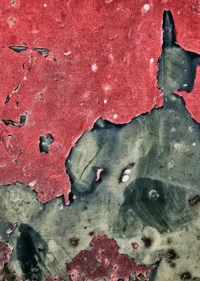 Lead Poisoning Litigation: Science, Regulation, and Trial Strategy - On-Demand Video